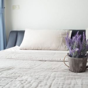 Benefici della lavanda per la salute Benefici della lavanda per la salute