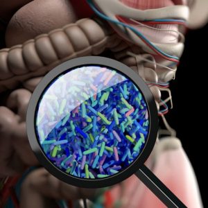 Salute dell’intestino per un invecchiamento sano Salute dell’intestino per un invecchiamento sano
