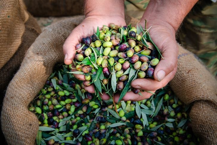 I benefici delle olive per la salute 1