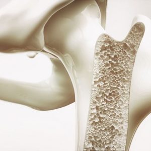 Kombu, alga superfood salutare Kombu, alga superfood salutare