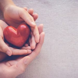 Indagine su 10 benefici dello scalogno per la salute Indagine su 10 benefici dello scalogno per la salute