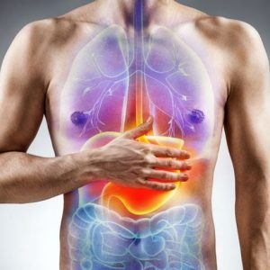 Sorprendenti benefici per la salute dell’olmo scivoloso