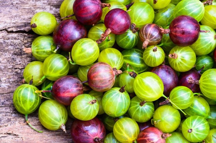I 10 principali benefici dell'uva spina per la salute 19