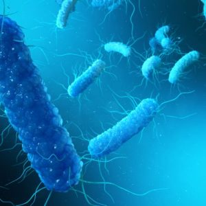 Infezione da Vibrio Cholerae Infezione da Vibrio Cholerae