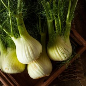 Gli straordinari benefici del finocchio per la salute Gli straordinari benefici del finocchio per la salute