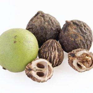 Le noci nere, ricche di sostanze nutritive, apportano grandi benefici Le noci nere, ricche di sostanze nutritive, apportano grandi benefici