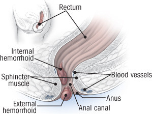 Disturbi anali 1