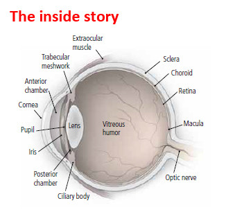 Retinopatia Retinopatia