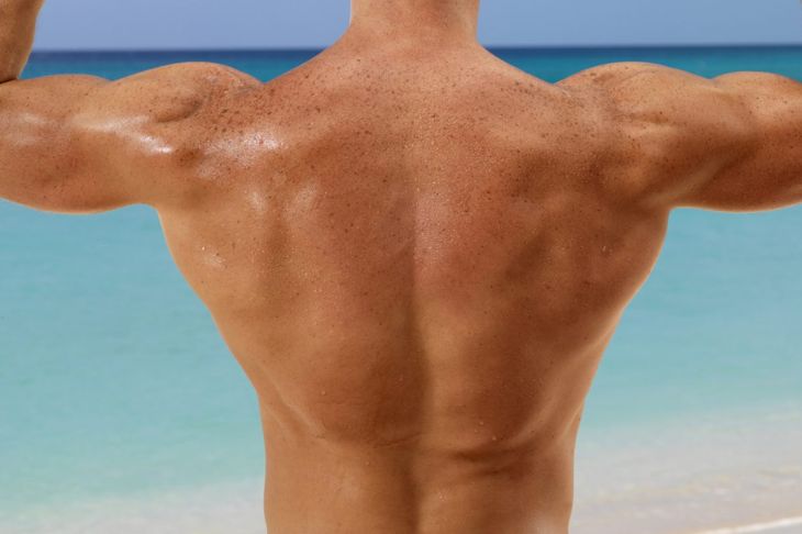 I muscoli della spalla e il loro movimento 15
