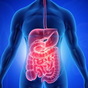 Malattia di Hirschsprung e digestione