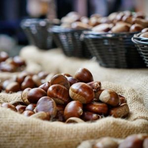 Il castagno potente Il castagno potente
