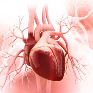 Tutto sulle variazioni della frequenza cardiaca e sulla sua normalità Tutto sulle variazioni della frequenza cardiaca e sulla sua normalità