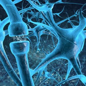 Il trattamento dell’Alzheimer oggi e la speranza per il futuro Il trattamento dell’Alzheimer oggi e la speranza per il futuro