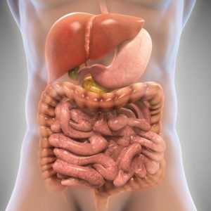 8 benefici dell’aceto di sidro di mele 8 benefici dell’aceto di sidro di mele