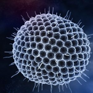 7 cose che non sapevate sull’herpes zoster