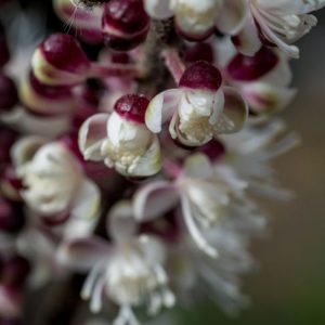 10 trattamenti naturali per le vampate di calore