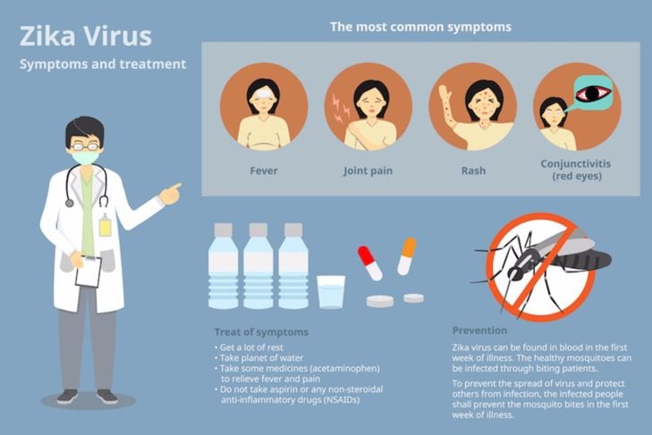 10 cose da sapere sul virus Zika e la gravidanza 3