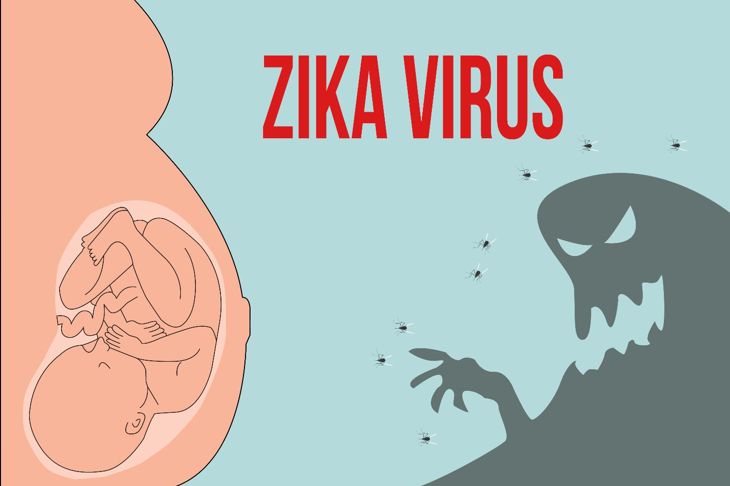 10 cose da sapere sul virus Zika e la gravidanza 11