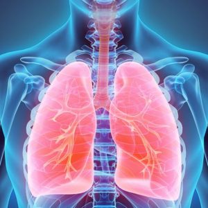 Conoscere l’arteria polmonare
