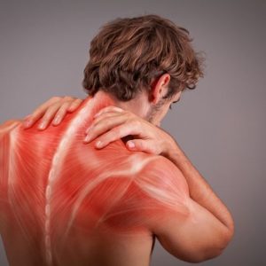 10 domande frequenti e cruciali sulla mialgia 10 domande frequenti e cruciali sulla mialgia