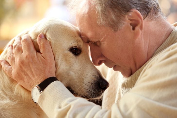 Anchilostoma canino: Cosa c'è da sapere 5
