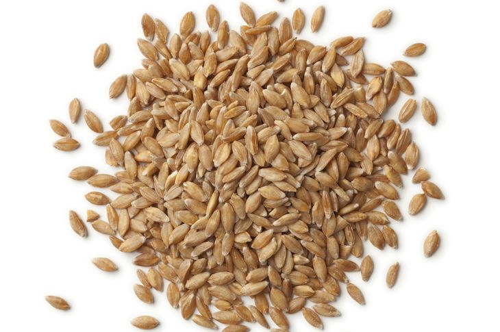 Benefici per la salute della farina di Einkorn 15