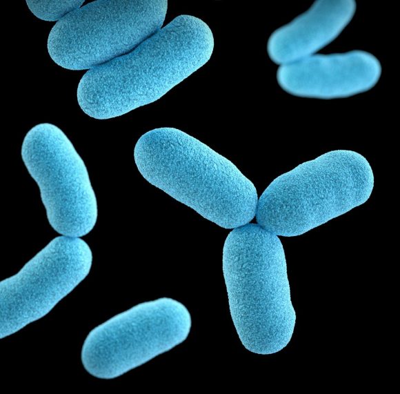 Dermatite atopica: dai batteri “buoni” della pelle una nuova pista contro l’eczema 2 Dermatite atopica: dai batteri “buoni” della pelle una nuova pista contro l’eczema 1